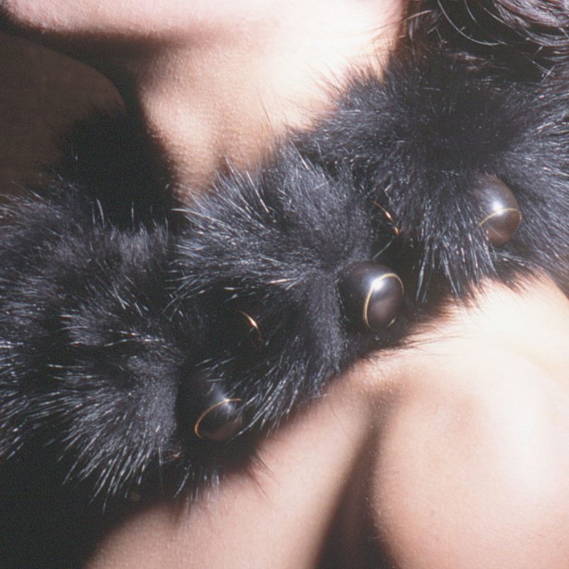 collar1